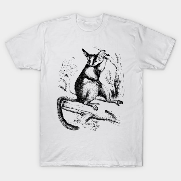 Pre Animal T-Shirt by MineLabel